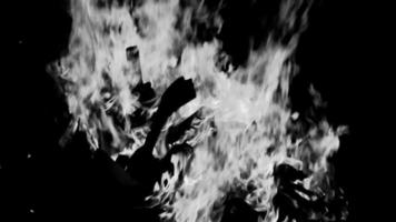 Fire flames on black background, Blaze fire flame texture background, Beautifully, the fire is burning, Fire flames with wood and cow dung bonfire Black and White video