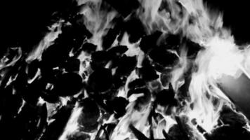 llamas de fuego sobre fondo negro, fondo de textura de llama de fuego blaze, maravillosamente, el fuego está ardiendo, llamas de fuego con madera y hoguera de estiércol de vaca en blanco y negro video