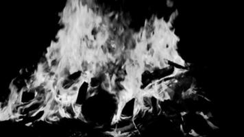 Fire flames on black background, Blaze fire flame texture background, Beautifully, the fire is burning, Fire flames with wood and cow dung bonfire Black and White video