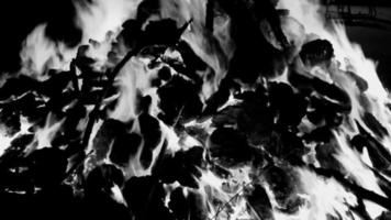 brand vlammen Aan zwart achtergrond, uitbarsten brand vlam structuur achtergrond, prachtig, de brand is brandend, brand vlammen met hout en koe mest vreugdevuur zwart en wit video