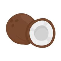 Halved coconut. Fruits that are popular to drink for refreshment in the summer. vector