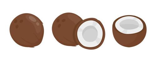 Halved coconut. Fruits that are popular to drink for refreshment in the summer. vector