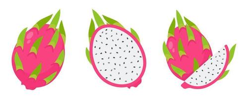 Dragon fruit. Sweet fruit for health. Gives freshness during summer for vegetarians vector