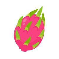 Dragon fruit. Sweet fruit for health. Gives freshness during summer for vegetarians vector