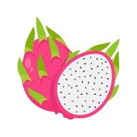 Dragon fruit. Sweet fruit for health. Gives freshness during summer for vegetarians vector