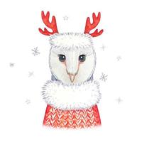 Owl in a red knitted sweater. watercolor illustration vector