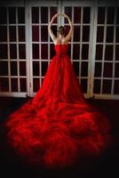 Beautiful woman in long red dress and in royal crown standing near retro fireplace door with stained-glass windows photo