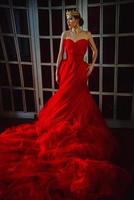 Beautiful woman in long red dress and in royal crown standing near retro fireplace door with stained-glass windows photo