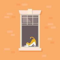 Apartment window with lazy cat vector