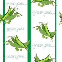 Seamless pattern of batch, bundle of green peas with leaves and pads of open peas. Vegetables no nitrates, farm product helpful. lettering without taking your hands off the line. vector