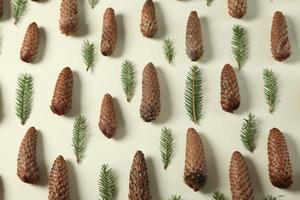 New Year's Eve background with fir branch and cones. Christmas and New Year holidays composition of pine tree branches. Happy New Year 2023 photo