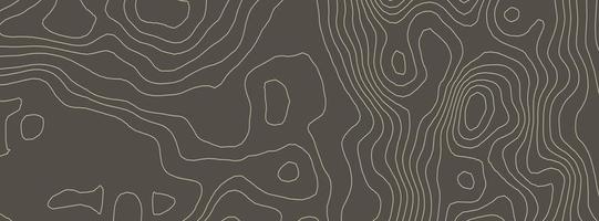 Contours vector topography. Geographic mountain topography vector illustration. Topographic pattern texture. Elevation graphic contour height lines.