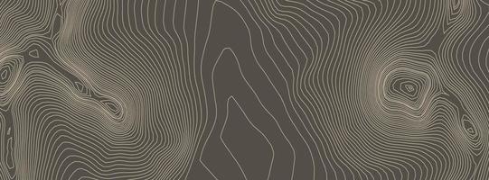 Contours vector topography. Geographic mountain topography vector illustration. Topographic pattern texture. Elevation graphic contour height lines.