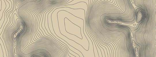 Contours vector topography. Geographic mountain topography vector illustration. Topographic pattern texture. Elevation graphic contour height lines.