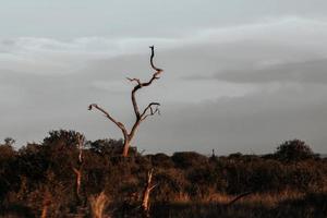 Landscapes of Southern Africa photo