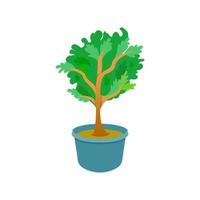 vector illustration of a plant in a pot on an isolated background