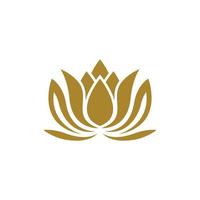 Beauty lotus logo images vector