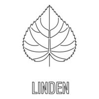 Linden leaf icon, outline style. vector