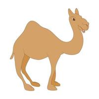 Camel icon in cartoon style vector