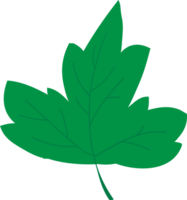 Leaf crop-out icon png