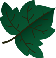 Leaf crop-out icon png