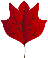 Leaf crop-out icon png