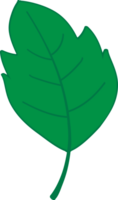 Leaf crop-out icon png