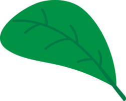 Leaf crop-out icon png