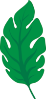 icono de hoja recortada png