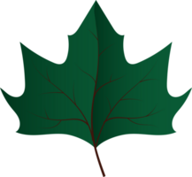 Leaf crop-out icon png