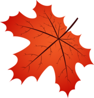 Leaf crop-out icon png