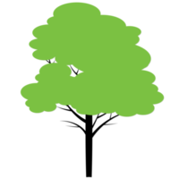 tree cartoon design png