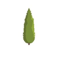 Cypress tree icon, flat style vector