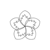 Frangipani flower icon, outline style vector