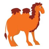 Camel icon, cartoon style vector