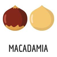 icono de macadamia, estilo plano vector