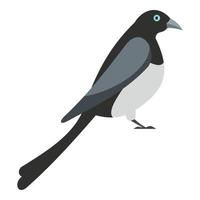 Big magpie icon, flat style vector