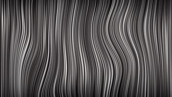 Loop abstract black and white vertical gradient curve lines