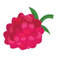 Raspberry icon, cartoon style vector