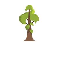 Sequoia icon, flat style vector