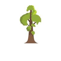 Sequoia icon, flat style vector