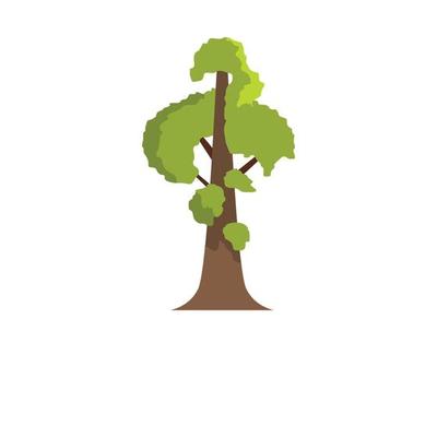 Sequoia icon, flat style