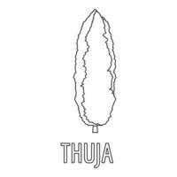 Thuja icon, outline style. vector