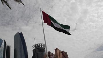 bandera de los emiratos árabes unidos en abu dhabi, emiratos árabes unidos video