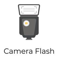 Trendy Camera Flash vector