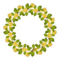 Pears Wreath circle of twigs with fruits, hand drawn doodle, round frame with branches, leaves and fruits. Isolated, white background vector