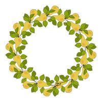 Pears Wreath circle of twigs with fruits, hand drawn doodle, round frame with branches, leaves and fruits. Isolated, white background vector