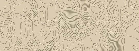 Contours vector topography. Geographic mountain topography vector illustration. Topographic pattern texture. Elevation graphic contour height lines.