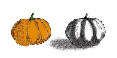 calabaza de halloween en la ilustración de vector de punteado de estilo dotwork. Conjunto de calabaza de Halloween de dibujos animados vectoriales aislado sobre fondo blanco.