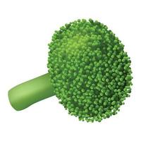 icono de brócoli de granja, estilo realista vector